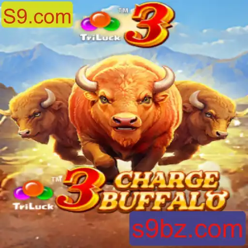 Descubra o Fascinante Mundo de 3ChargeBuffalo em S9.com